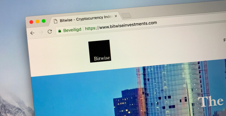 De Bitwise website